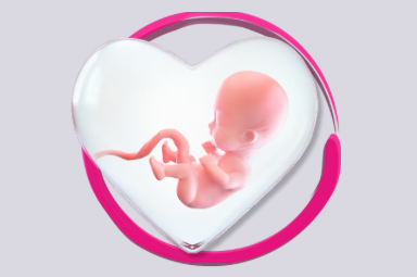 Neonato all&#039;interno di un cuore trasparente